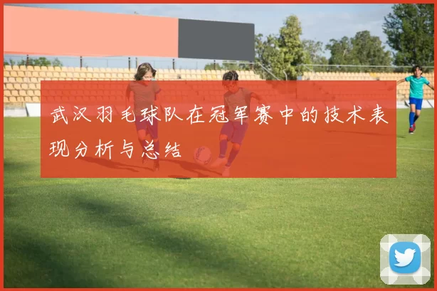 武汉羽毛球队在冠军赛中的技术表现分析与总结