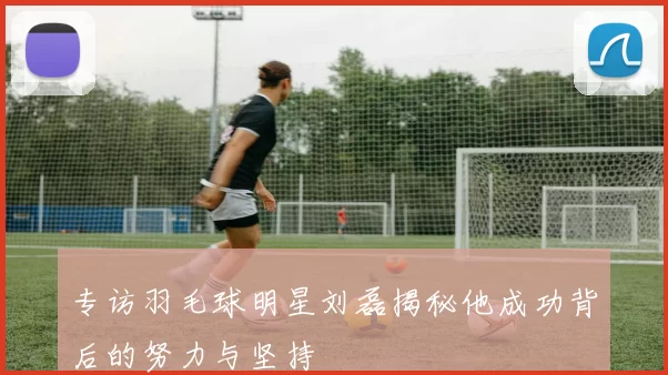 专访羽毛球明星刘磊揭秘他成功背后的努力与坚持