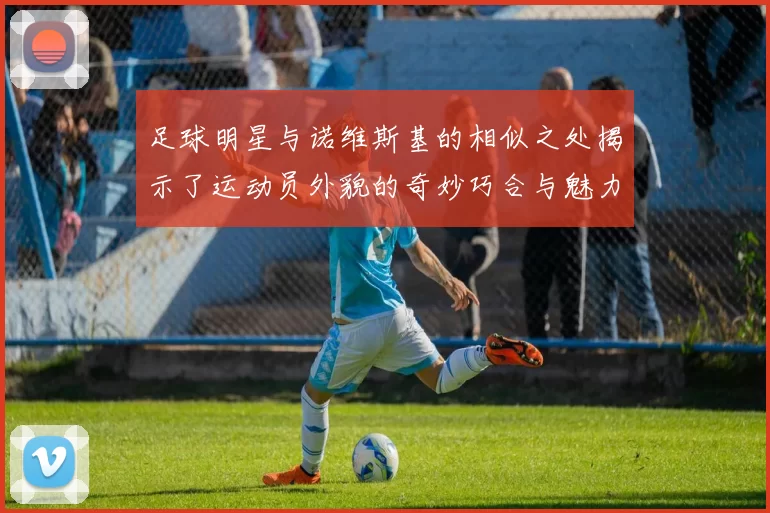 足球明星与诺维斯基的相似之处揭示了运动员外貌的奇妙巧合与魅力