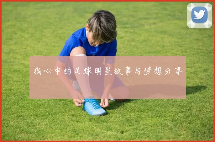 我心中的足球明星故事与梦想分享