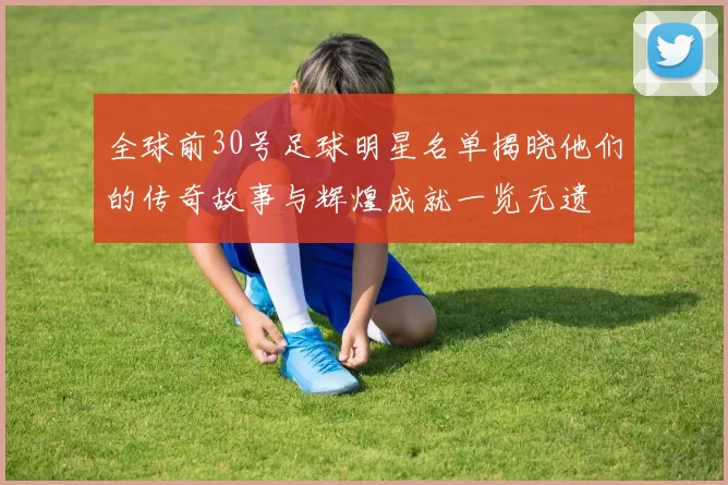 全球前30号足球明星名单揭晓他们的传奇故事与辉煌成就一览无遗