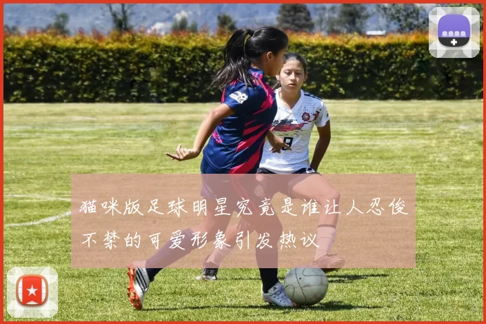 猫咪版足球明星究竟是谁让人忍俊不禁的可爱形象引发热议