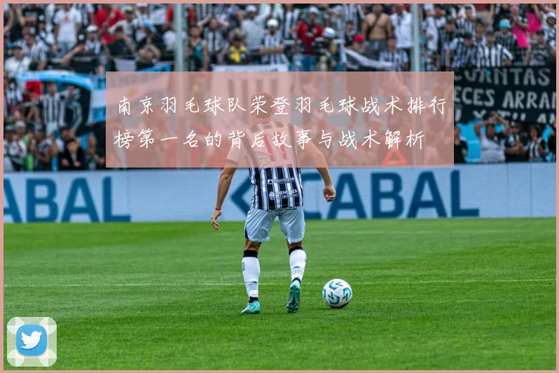 南京羽毛球队荣登羽毛球战术排行榜第一名的背后故事与战术解析