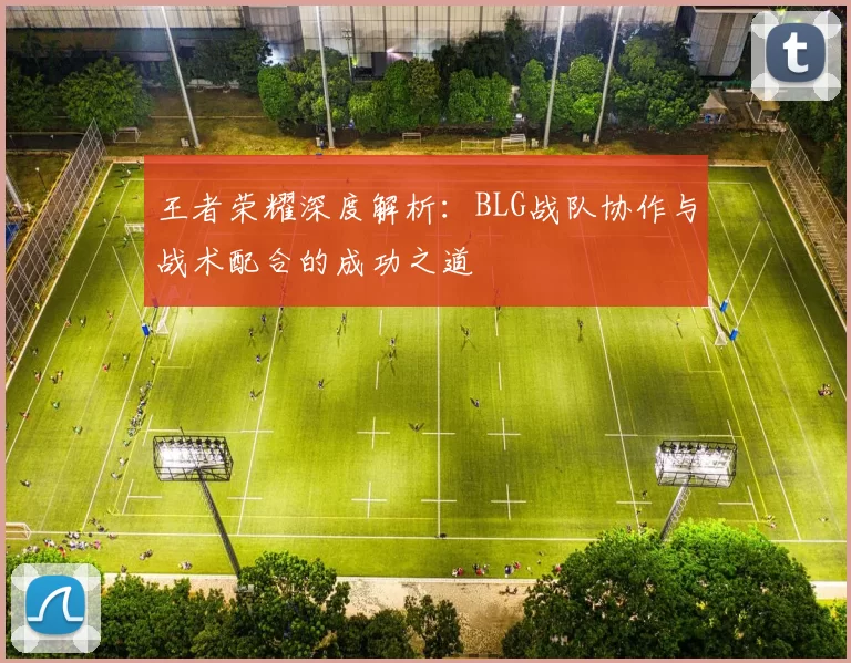 王者荣耀深度解析：BLG战队协作与战术配合的成功之道