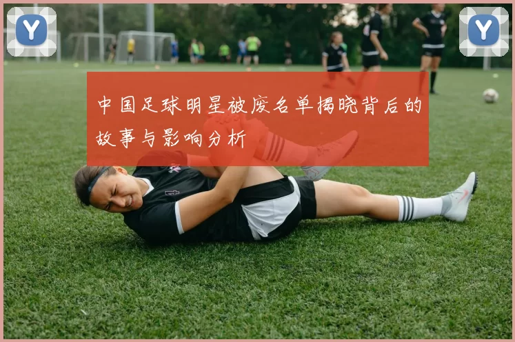 中国足球明星被废名单揭晓背后的故事与影响分析