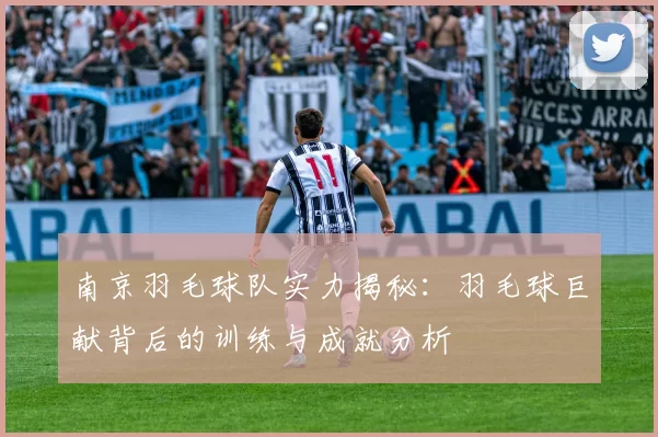 南京羽毛球队实力揭秘：羽毛球巨献背后的训练与成就分析