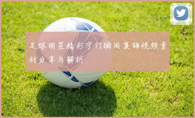 足球明星精彩守门瞬间集锦视频素材分享与解析