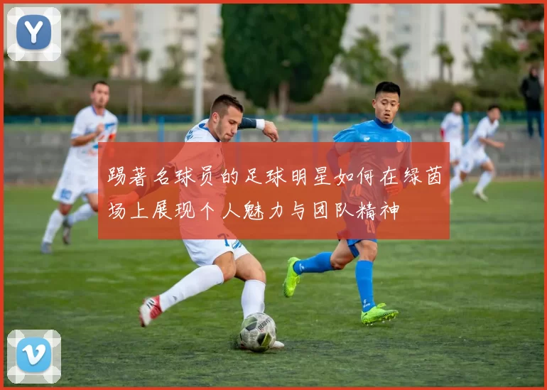 踢著名球员的足球明星如何在绿茵场上展现个人魅力与团队精神