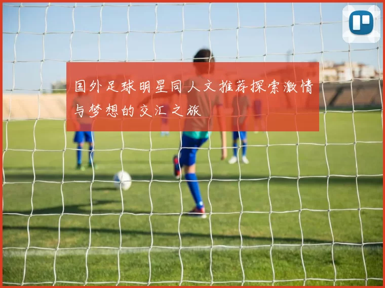 国外足球明星同人文推荐探索激情与梦想的交汇之旅