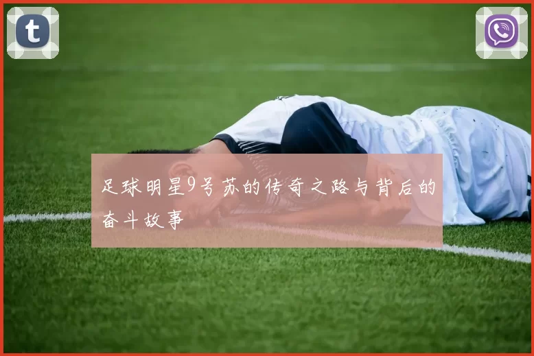 足球明星9号苏的传奇之路与背后的奋斗故事