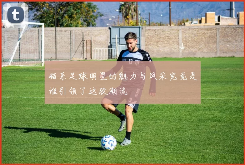 猫系足球明星的魅力与风采究竟是谁引领了这股潮流