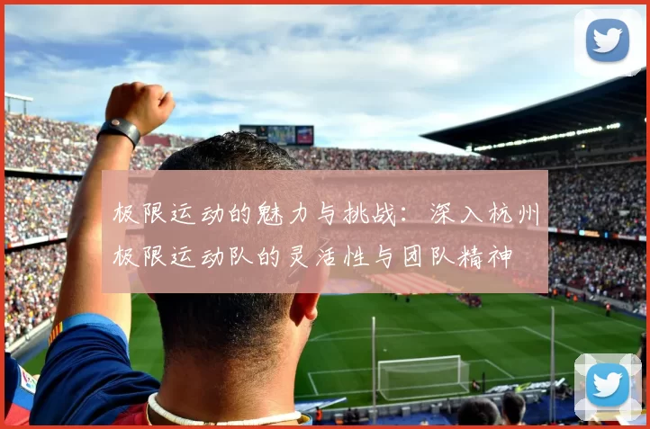 极限运动的魅力与挑战：深入杭州极限运动队的灵活性与团队精神