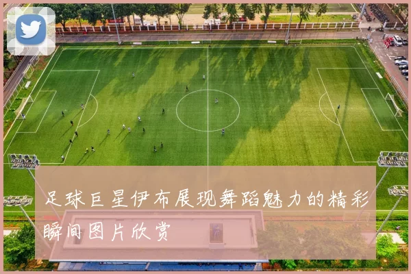 足球巨星伊布展现舞蹈魅力的精彩瞬间图片欣赏