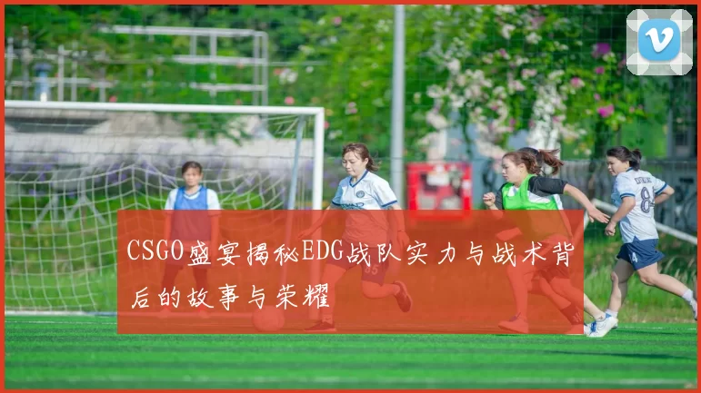 CSGO盛宴揭秘EDG战队实力与战术背后的故事与荣耀
