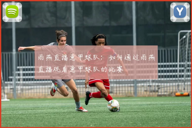 雨燕直播意甲球队：如何通过雨燕直播观看意甲球队的比赛