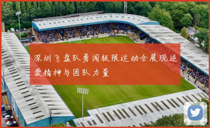 深圳飞盘队勇闯极限运动会展现逆袭精神与团队力量