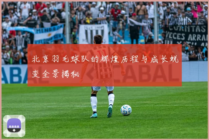 北京羽毛球队的辉煌历程与成长蜕变全景揭秘
