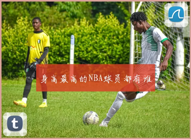 身高最高的NBA球员都有谁