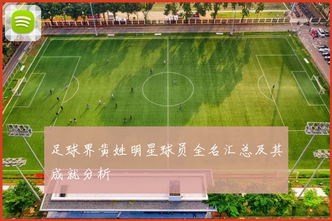 足球界黄姓明星球员全名汇总及其成就分析