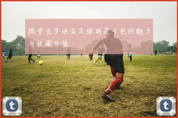 探索克罗地亚足球明星卡包的魅力与收藏价值