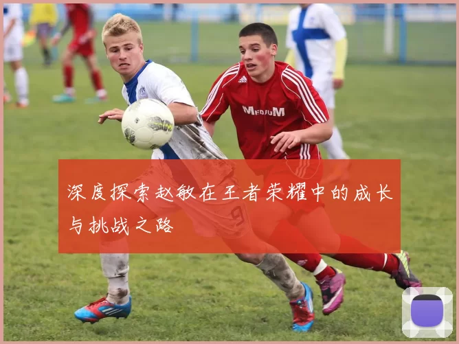 深度探索赵敏在王者荣耀中的成长与挑战之路