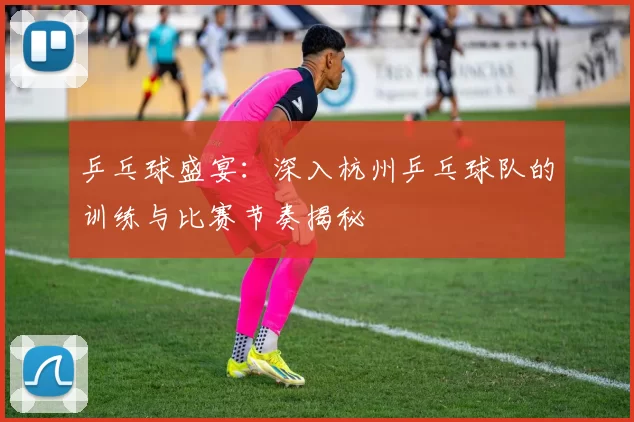 乒乓球盛宴：深入杭州乒乓球队的训练与比赛节奏揭秘