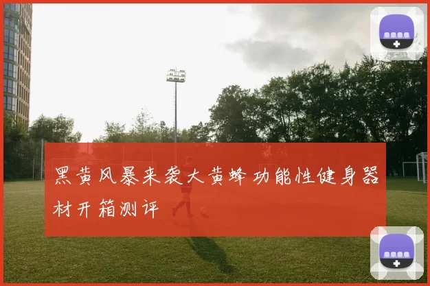 黑黄风暴来袭大黄蜂功能性健身器材开箱测评