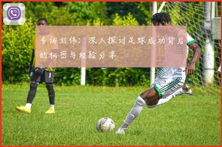 专访刘伟：深入探讨足球成功背后的秘密与经验分享