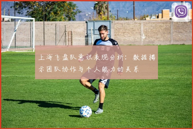 上海飞盘队意识表现分析：数据揭示团队协作与个人能力的关系