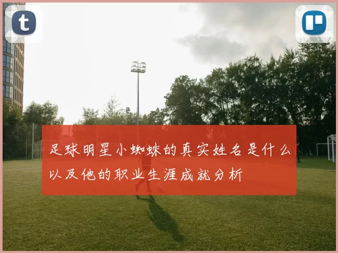 足球明星小蜘蛛的真实姓名是什么以及他的职业生涯成就分析