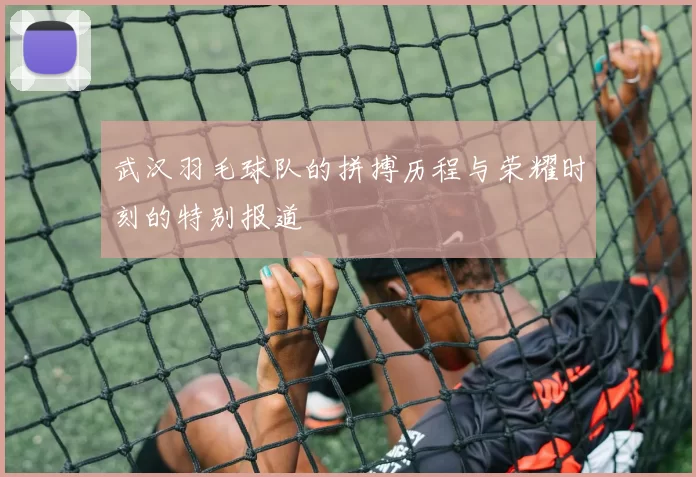 武汉羽毛球队的拼搏历程与荣耀时刻的特别报道
