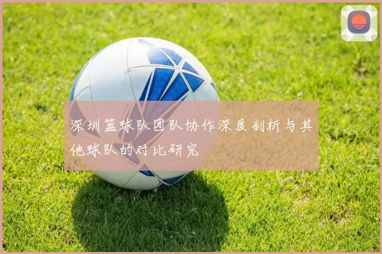 深圳篮球队团队协作深度剖析与其他球队的对比研究